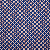 Boy's Cyclist Liner Swim Trunks - Nautical Mesh