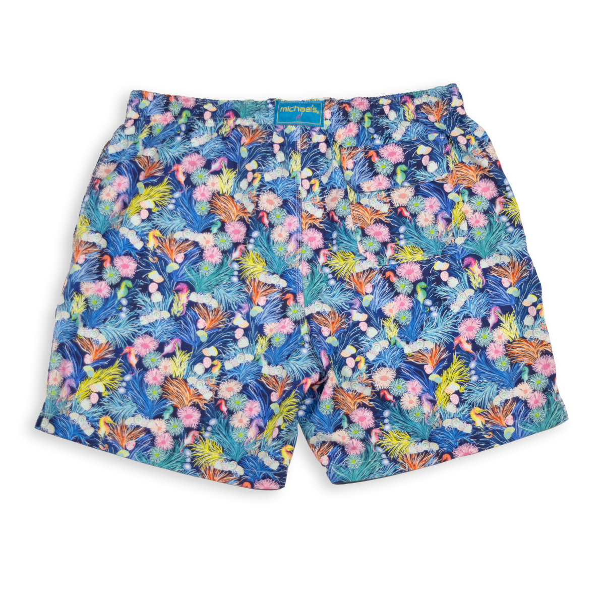 Boy's Cyclist Liner Swim Trunks - New Seahorses