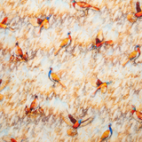 Men's Printed Pima Cotton / Stretch Long Sleeve Shirt - Pheasants Multicolored