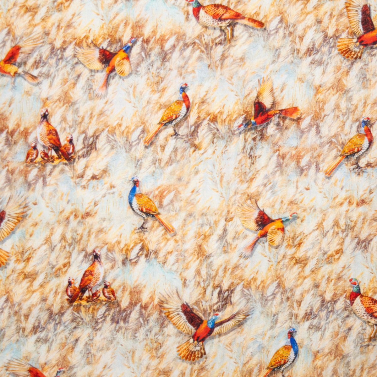 Men's Printed Pima Cotton / Stretch Long Sleeve Shirt - Pheasants Multicolored